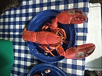 Click image for larger version

Name:	IMG_20200709_195507550.jpg
Views:	194
Size:	2.08 MB
ID:	24592