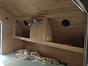 Head of the bed